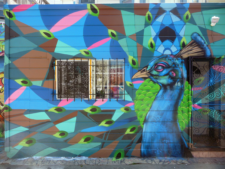 Blue Peacock mural by Eli Lippert