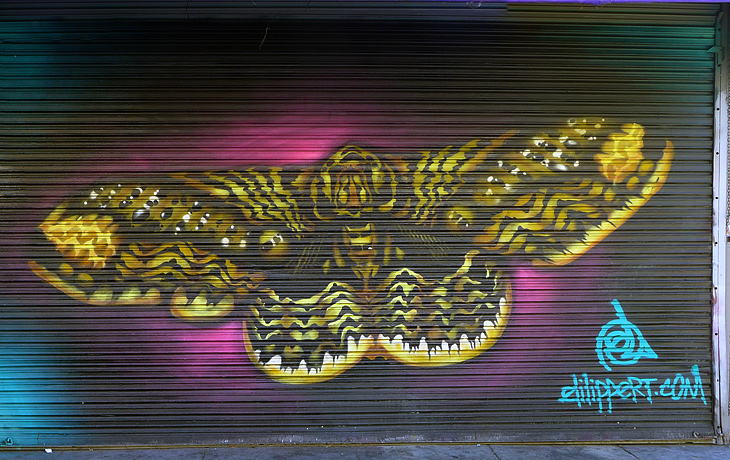 Heron and Butterfly mural by Eli Lippert