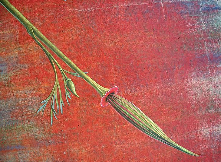 The Botanical mural by Mona Caron