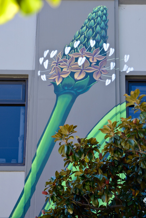 Plantago Lanceolata mural by Mona Caron