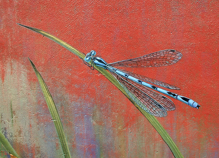 The Botanical mural by Mona Caron