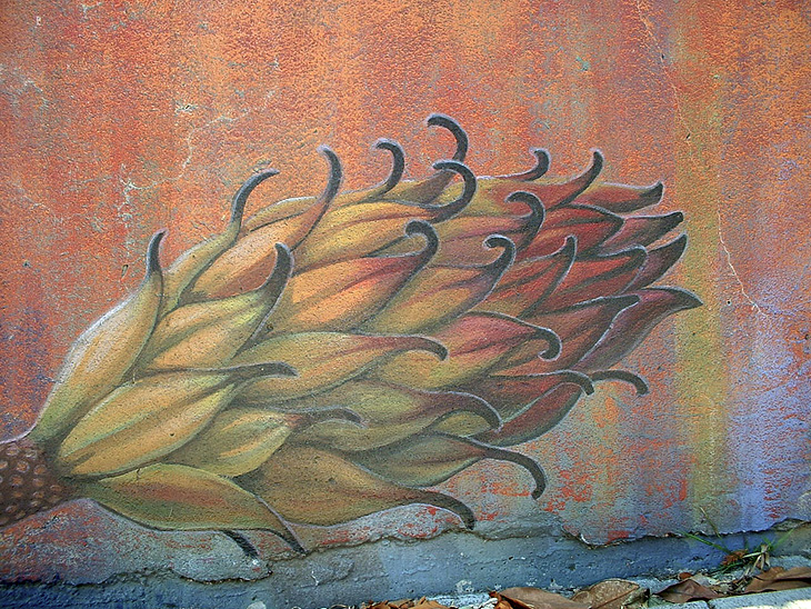 The Botanical mural by Mona Caron