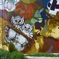 Flora N Fauna