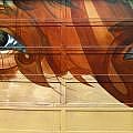 Indigenous Eyes