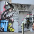 Racoon Kids