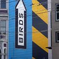 Birds/ Cars