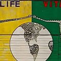 Vida Life Vita